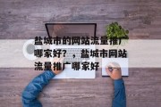 盐城市的网站流量推广哪家好?,盐城市网站流量推广哪家好 盐城市的网站流量推广哪家好?,盐城市网站流量推广哪家好