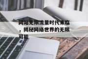 网站无限流量时代来临,揭秘网络世界的无限可能 网站无限流量时代来临,揭秘网络世界的无限可能
