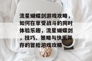 流星蝴蝶剑游戏攻略，如何在享受战斗的同时体验乐趣，流星蝴蝶剑，技巧、策略与快乐并存的冒险游戏攻略