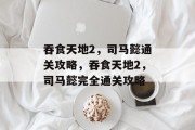 吞食天地2，司马懿通关攻略，吞食天地2，司马懿完全通关攻略
