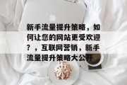 新手流量提升策略，如何让您的网站更受欢迎？，互联网营销，新手流量提升策略大公开