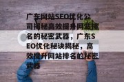 广东网站SEO优化公司揭秘高效提升网站排名的秘密武器，广东SEO优化秘诀揭秘，高效提升网站排名的秘密武器