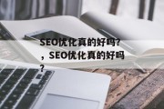 SEO优化真的好吗？，SEO优化真的好吗？