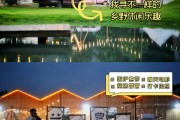 主题露营活动游戏攻略(主题露营活动游戏攻略大全)