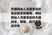 挖掘网站人流量背后的复杂因素和策略,揭秘网站人流量背后的大脑战术,策略、技巧与实战分享 挖掘网站人流量背后的复杂因素和策略,揭秘网站人流量背后的大脑战术,策略、技巧与实战分享