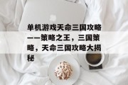 单机游戏天命三国攻略——策略之王，三国策略，天命三国攻略大揭秘
