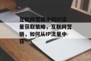 互联网营销中的IP流量获取策略,互联网营销,如何从IP流量中获 互联网营销中的IP流量获取策略,互联网营销,如何从IP流量中获