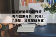 网红IP流量的提升策略与案例分析,网红IP流量,提高策略与案例分析 网红IP流量的提升策略与案例分析,网红IP流量,提高策略与案例分析