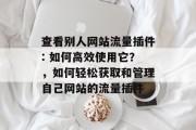 查看别人网站流量插件: 如何高效使用它?,如何轻松获取和管理自己网站的流量插件