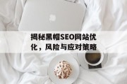 揭秘黑帽SEO网站优化,风险与应对策略 揭秘黑帽SEO网站优化,风险与应对策略