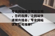 专业网站排名优化公司，您的选择，让网站快速提升排名，专业网站优化公司推荐！