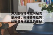 深入剖析特斯拉网站流量分析,揭秘特斯拉网站流量分析软件的奥秘 深入剖析特斯拉网站流量分析,揭秘特斯拉网站流量分析软件的奥秘