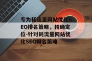 专为耗流量网站优化SEO排名策略，精确定位-针对耗流量网站优化SEO排名策略