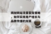 揭秘网站流量裂变策略,如何实现用户增长与品牌传播的双赢 揭秘网站流量裂变策略,如何实现用户增长与品牌传播的双赢