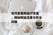 如何查看网站IP流量,揭秘网站流量分析全攻略 如何查看网站IP流量,揭秘网站流量分析全攻略