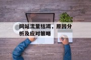网站流量枯竭,原因分析及应对策略 网站流量枯竭,原因分析及应对策略