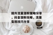 提升流量涨粉策略分享,抖音涨粉攻略,流量变现技巧分享 提升流量涨粉策略分享,抖音涨粉攻略,流量变现技巧分享