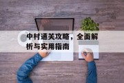 中村通关攻略,全面解析与实用指南 中村通关攻略,全面解析与实用指南