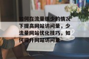 如何在流量很少的情况下提高网站访问量，少流量网站优化技巧，如何提升网站访问量