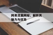 网易流量网站,解析其魅力与优势 网易流量网站,解析其魅力与优势