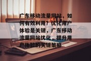 广东移动流量网站,如何有效利用?优化用户体验是关键,广东移动流量网站优化,提升用户体验的关键策略 广东移动流量网站,如何有效利用?优化用户体验是关键,广东移动流量网站优化,提升用户体验的关键策略