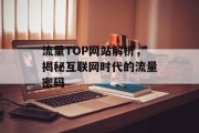 流量TOP网站解析,揭秘互联网时代的流量密码 流量TOP网站解析,揭秘互联网时代的流量密码