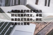 承载体量的稳定提升与转化效果的优化，承载体量稳定性提升，转化效果优化策略