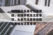 如何提升头条号流量等级,关键步骤及注意事项,头条号流量等级提升策略及注意事项 如何提升头条号流量等级,关键步骤及注意事项,头条号流量等级提升策略及注意事项