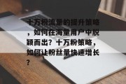 十万粉流量的提升策略，如何在海量用户中脱颖而出？十万粉策略，如何让粉丝量快速增长？