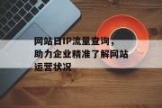 网站日IP流量查询,助力企业精准了解网站运营状况 网站日IP流量查询,助力企业精准了解网站运营状况