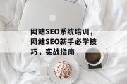 网站SEO系统培训，网站SEO新手必学技巧，实战指南