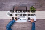 流量经营能力提升的策略,提升流量经营能力,策略一、二、三 流量经营能力提升的策略,提升流量经营能力,策略一、二、三