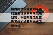 国内网站流量查询系统的重要性及其未来发展趋势，中国网站流量查询系统的崛起与未来发展分析