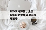 SEO网站评估,全面解析网站优化效果与提升策略 SEO网站评估,全面解析网站优化效果与提升策略