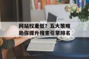 网站权重低？五大策略助你提升搜索引擎排名