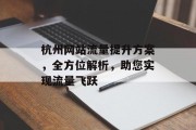 杭州网站流量提升方案,全方位解析,助您实现流量飞跃 杭州网站流量提升方案,全方位解析,助您实现流量飞跃