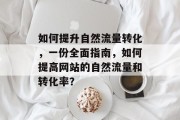 如何提升自然流量转化,一份全面指南,如何提高网站的自然流量和转化率?