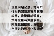 流量网站记录，对用户行为的深刻洞察与策略应用，流量网站洞察，策略应用与深度洞察，网站数据挖掘，真实用户行为的可视化和洞察