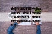 流量主单价的提升策略与技巧，流量主如何提升其变现能力？流量主的营销策略应具备哪些特点？