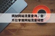 揭秘网站流量查询,全方位掌握网站流量秘密 揭秘网站流量查询,全方位掌握网站流量秘密