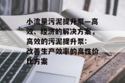 小流量污泥提升泵—高效、经济的解决方案,高效的污泥提升泵: 改善生产效率的高性价比方案 小流量污泥提升泵—高效、经济的解决方案,高效的污泥提升泵: 改善生产效率的高性价比方案