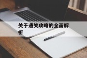 关于通关攻略的全面解析