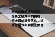 精准的网站流量提醒，提高营销效率的关键，精准网站流量优化，提升营销效率的秘密武器