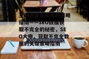 互联网营销专家的策略指南——SEO数据获取不完全的秘密，SEO大师，获取不完全数据的关键策略指南