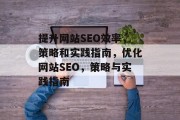 提升网站SEO效率,策略和实践指南,优化网站SEO,策略与实践指南 提升网站SEO效率,策略和实践指南,优化网站SEO,策略与实践指南