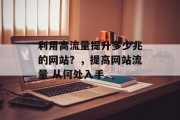 利用高流量提升多少兆的网站？，提高网站流量 从何处入手