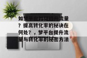 如梦平台如何提升流量？提高转化率的秘诀在何处？，梦平台提升流量与转化率的秘密方法