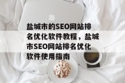 盐城市的SEO网站排名优化软件教程，盐城市SEO网站排名优化软件使用指南