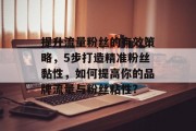 提升流量粉丝的有效策略，5步打造精准粉丝黏性，如何提高你的品牌流量与粉丝粘性?