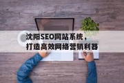 沈阳SEO网站系统,打造高效网络营销利器 沈阳SEO网站系统,打造高效网络营销利器